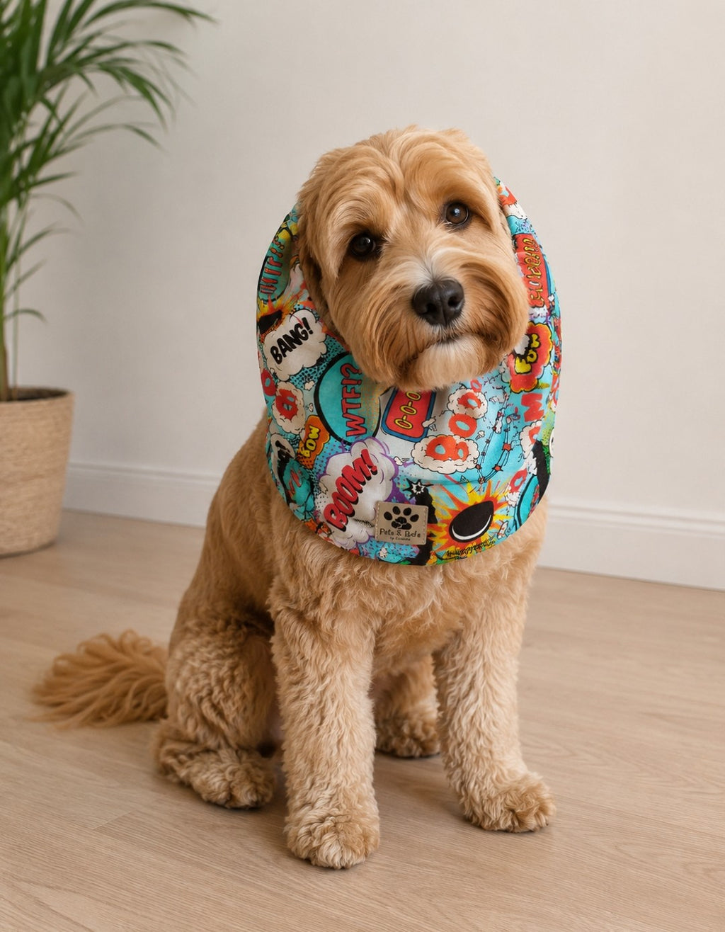 Snoods de Algodao